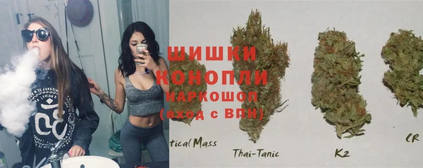 таблы Белокуриха