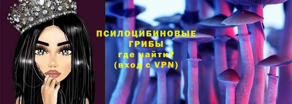таблы Белокуриха