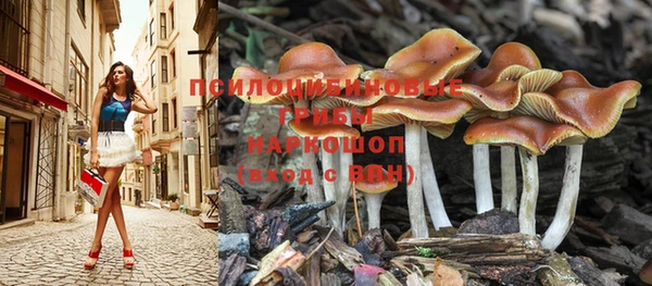 гашишное масло Беломорск