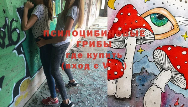 таблы Белокуриха